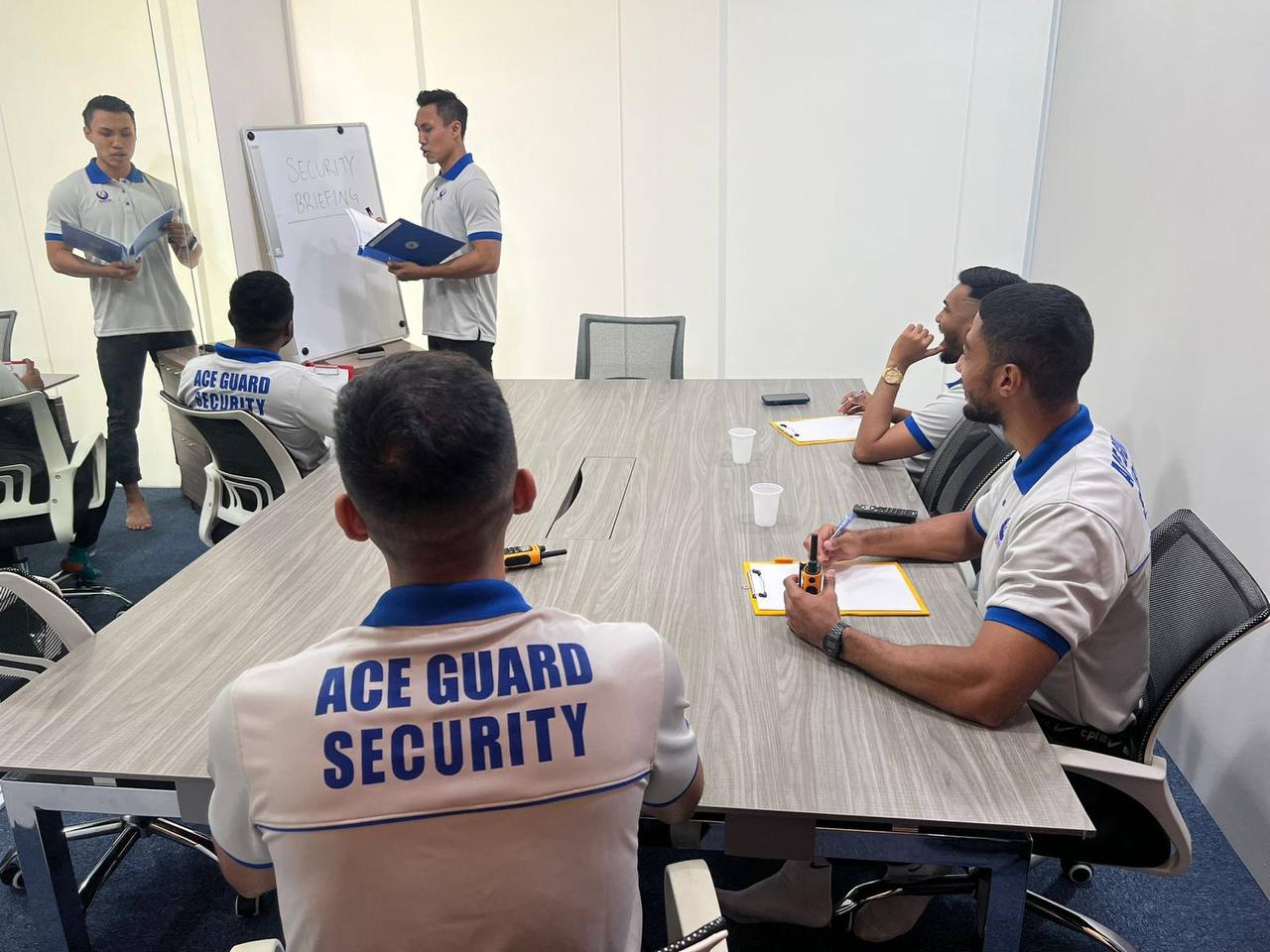 Security Consultancy